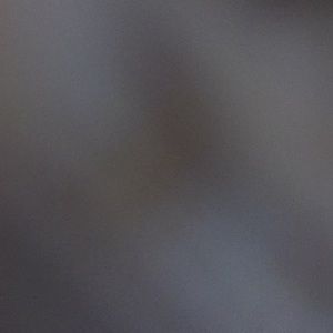 Meet your Posher, Ava